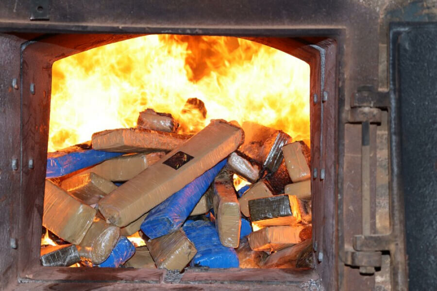 Imagem de compartilhamento para o artigo Polícia Civil de Paraíso das Águas incinera quase 200 quilos de entorpecentes da MS Todo dia